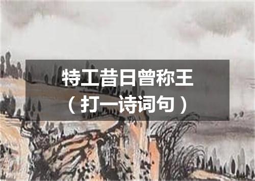 特工昔日曾称王（打一诗词句）