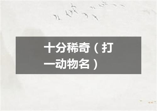 十分稀奇（打一动物名）
