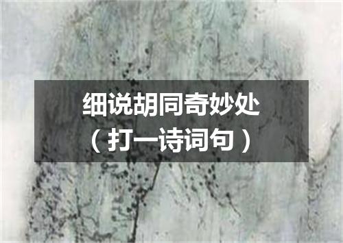 细说胡同奇妙处（打一诗词句）