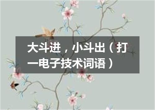 大斗进，小斗出（打一电子技术词语）