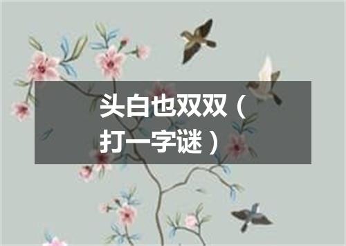 头白也双双（打一字谜）