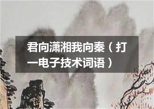 君向潇湘我向秦（打一电子技术词语）