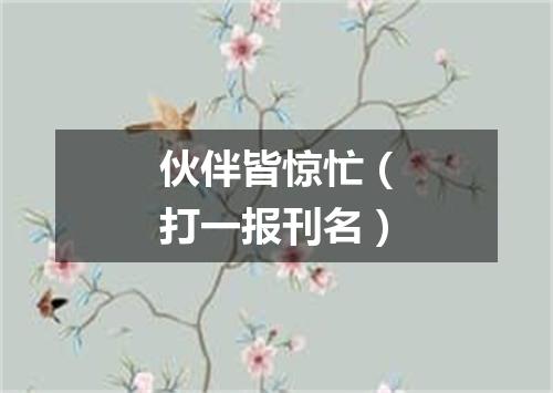 伙伴皆惊忙（打一报刊名）