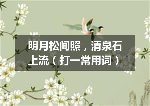 明月松间照，清泉石上流（打一常用词）
