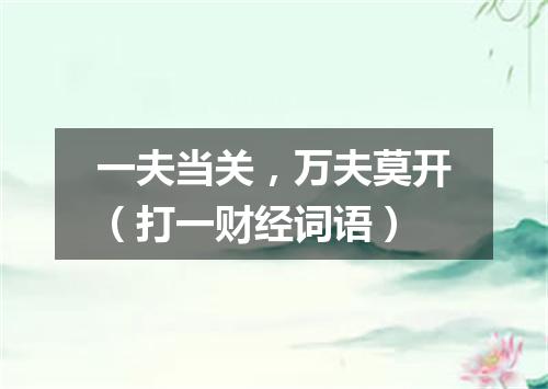 一夫当关，万夫莫开（打一财经词语）