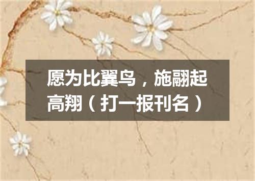 愿为比翼鸟，施翮起高翔（打一报刊名）
