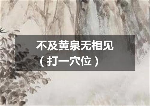 不及黄泉无相见（打一穴位）