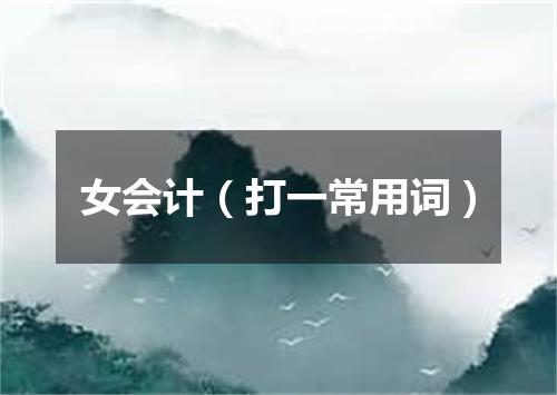 女会计（打一常用词）