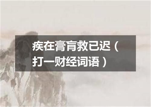 疾在膏肓救已迟（打一财经词语）