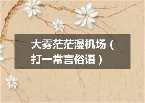 大雾茫茫漫机场（打一常言俗语）