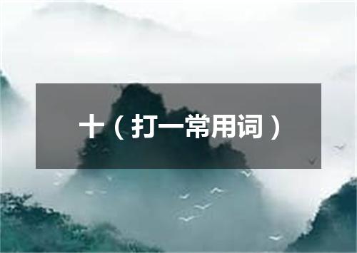 十（打一常用词）