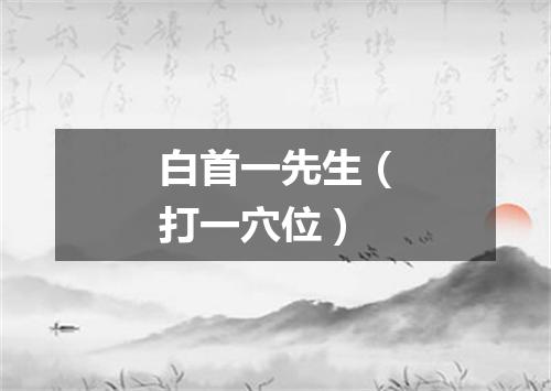 白首一先生（打一穴位）