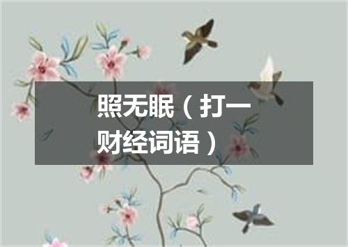 照无眠（打一财经词语）