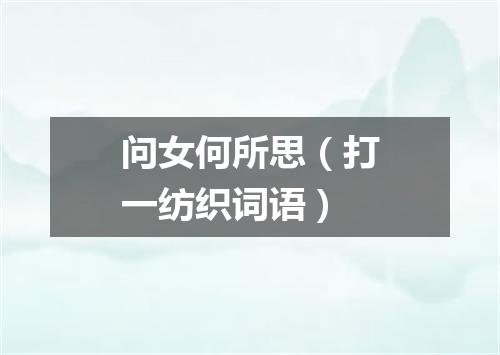 问女何所思（打一纺织词语）