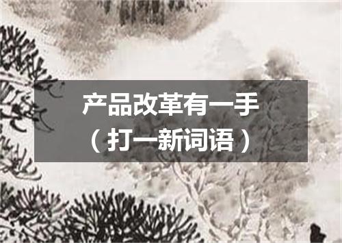 产品改革有一手（打一新词语）