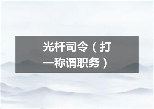 光杆司令（打一称谓职务）