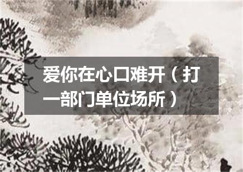爱你在心口难开（打一部门单位场所）