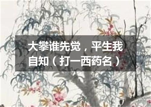 大攀谁先觉，平生我自知（打一西药名）