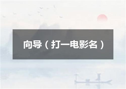 向导（打一电影名）