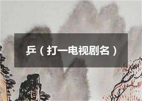 乒（打一电视剧名）