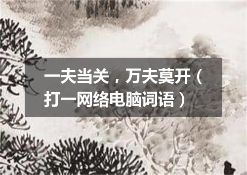 一夫当关，万夫莫开（打一网络电脑词语）