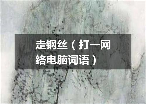 走钢丝（打一网络电脑词语）