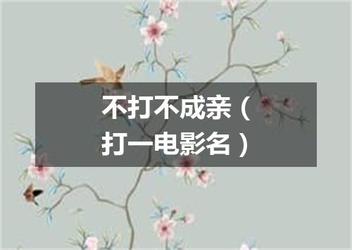 不打不成亲（打一电影名）