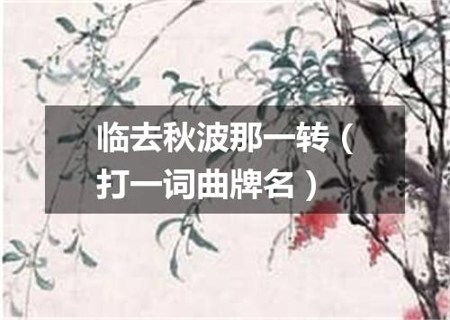 临去秋波那一转（打一词曲牌名）