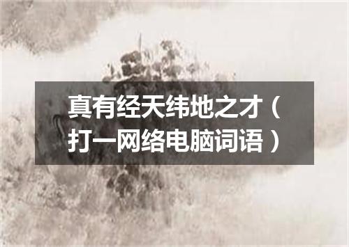 真有经天纬地之才（打一网络电脑词语）