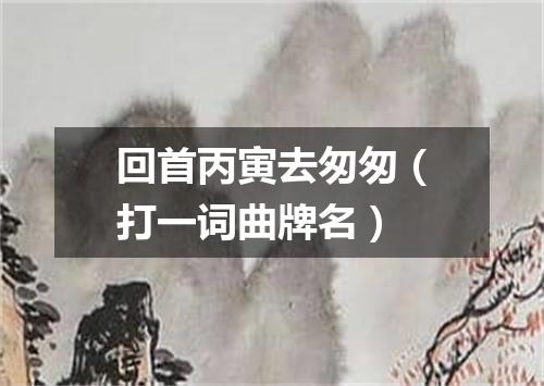 回首丙寅去匆匆（打一词曲牌名）