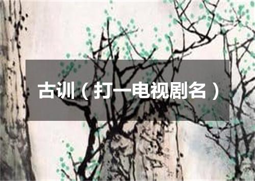 古训（打一电视剧名）