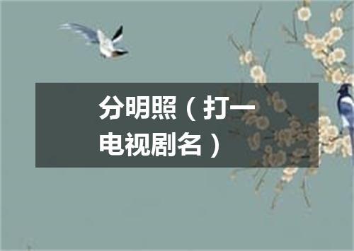 分明照（打一电视剧名）