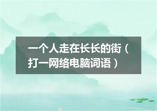 一个人走在长长的街（打一网络电脑词语）