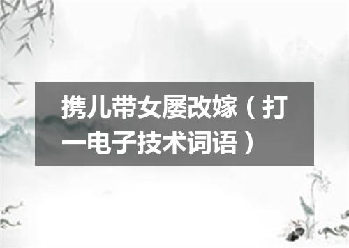 携儿带女屡改嫁（打一电子技术词语）