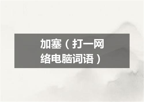 加塞（打一网络电脑词语）