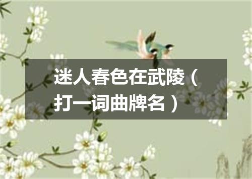 迷人春色在武陵（打一词曲牌名）