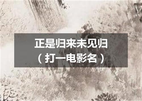 正是归来未见归（打一电影名）