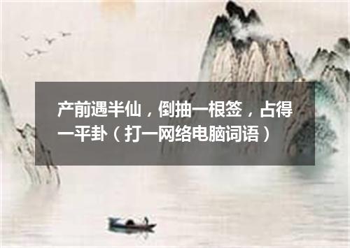 产前遇半仙，倒抽一根签，占得一平卦（打一网络电脑词语）