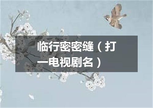 临行密密缝（打一电视剧名）