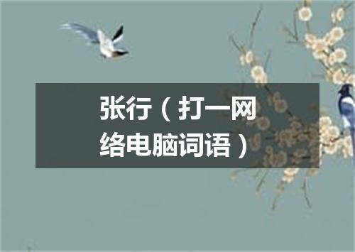 张行（打一网络电脑词语）