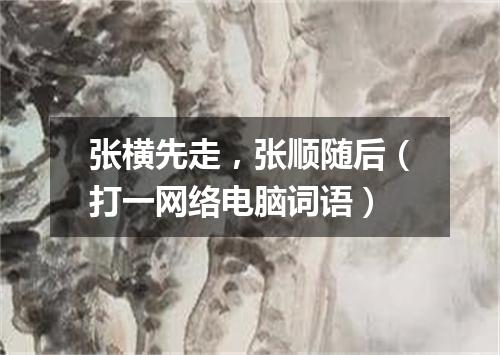 张横先走，张顺随后（打一网络电脑词语）