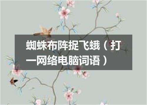 蜘蛛布阵捉飞蛾（打一网络电脑词语）