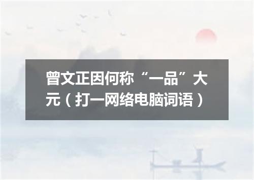 曾文正因何称“一品”大元（打一网络电脑词语）