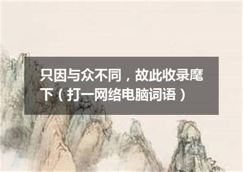 只因与众不同，故此收录麾下（打一网络电脑词语）