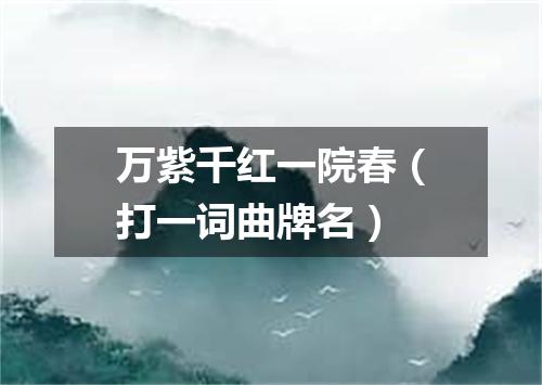 万紫千红一院春（打一词曲牌名）
