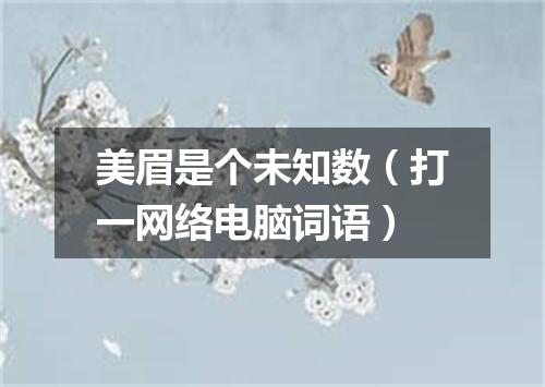 美眉是个未知数（打一网络电脑词语）