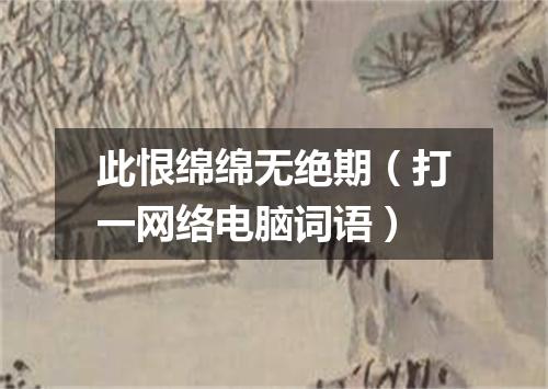 此恨绵绵无绝期（打一网络电脑词语）