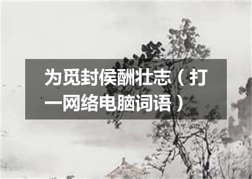 为觅封侯酬壮志（打一网络电脑词语）