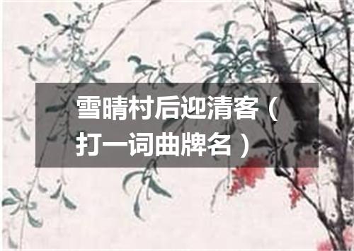 雪晴村后迎清客（打一词曲牌名）