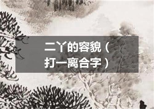 二丫的容貌（打一离合字）